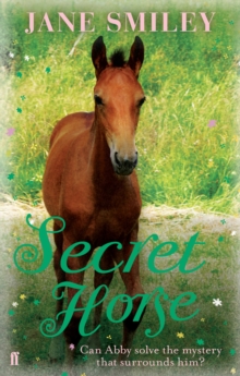 Image for Secret horse