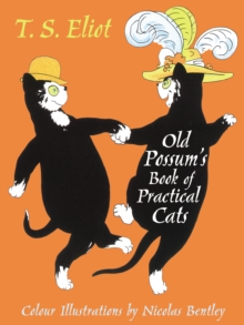 Image for The illustrated Old Possum
