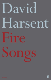 Image for Fire songs