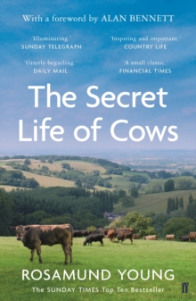 Image for The Secret Life of Cows