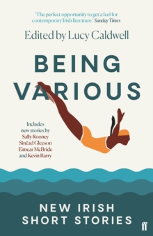 Being Various: New Irish Short Stories