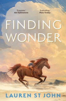 Image for Finding Wonder