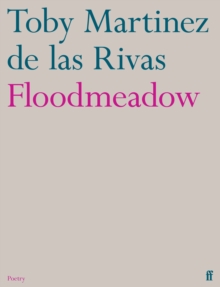 Floodmeadow