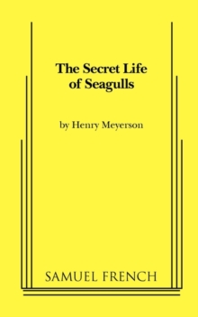 Secret Life of Seagulls