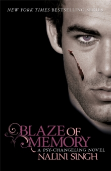 Blaze of Memory: Book 7