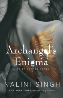 Image for Archangel's enigma