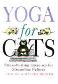 Image for Yoga for cats