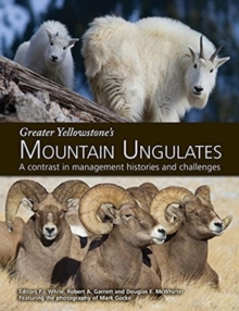 Image for Greater Yellowstone's Mountain Ungulates : A Contrast in Management Histories and Challenges: A