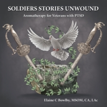 Image for Soldiers Stories Unwound