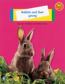 Image for Longman Book Project: Non-Fiction: Level A: Animals Topic: Rabbits and Their Young