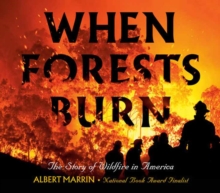 Image for When Forests Burn : The Story of Wildfire in America