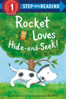 Image for Rocket loves hide-and-seek!