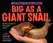 Image for Big as a giant snail