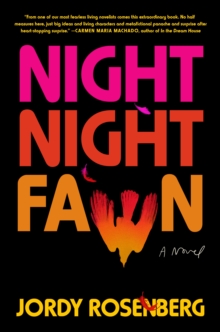 Image for Night Night Fawn : A Novel