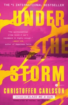 Image for Under the Storm