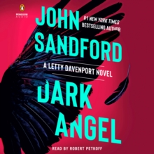 Image for Dark Angel