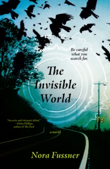Image for The Invisible World : A Novel