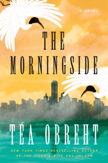 Image for The Morningside : A Novel