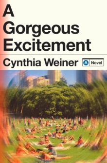 Image for A Gorgeous Excitement