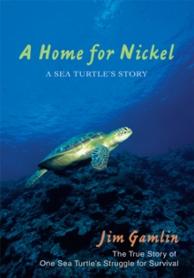Image for Home for Nickel: A Sea Turtle's Story