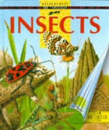 Image for See Through Insects