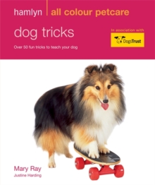 Image for Dog tricks  : over 50 fun tricks to teach your dog
