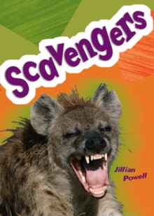 Image for Pocket Facts Year 5: Scavengers