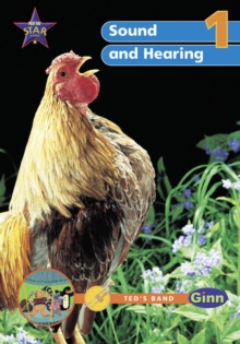 Image for New Science Yr1/P2: Sound & Hearing Big Book