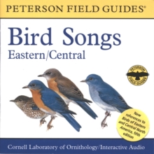 Image for A Field Guide To Bird Songs