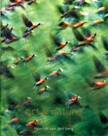 Art Of Nature