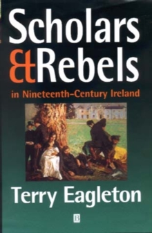 Image for Scholars & rebels in nineteenth-century Ireland