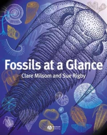Image for Fossils at a glance