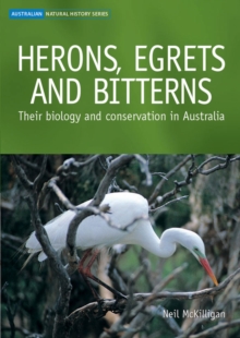 Image for Herons, Egrets and Bitterns