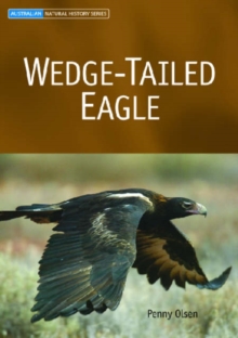 Image for Wedge-tailed Eagle