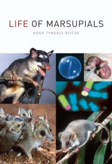 Image for Life of marsupials