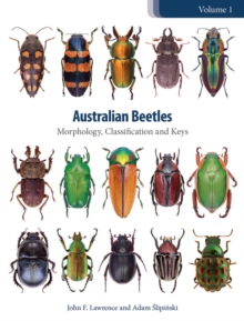 Image for Australian Beetles Volume 1