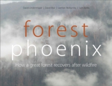 Image for Forest Phoenix