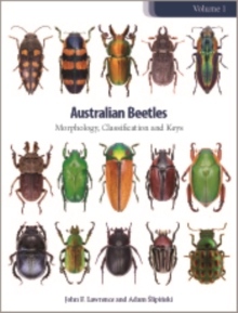 Image for Australian Beetles Volume 1: Morphology, Classification and Keys