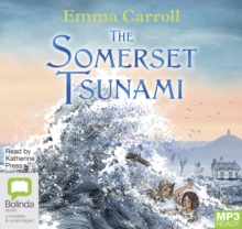 Image for The Somerset Tsunami