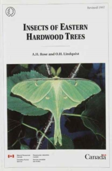Image for Insects of Eastern Hardwood Trees