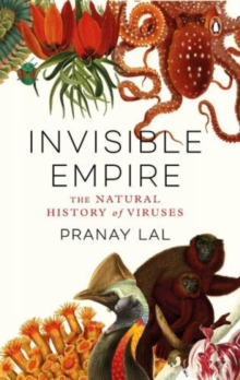 Image for Invisible Empire