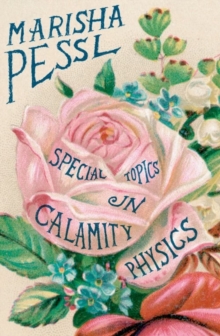 Image for Special Topics in Calamity Physics
