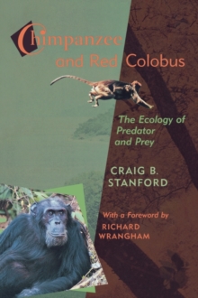 Image for Chimpanzee and Red Colobus