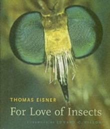Image for For Love of Insects