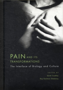 Pain and Its Transformations