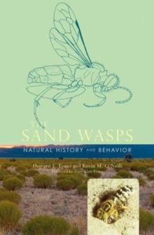Image for The sand wasps  : natural history and behavior