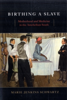 Image for Birthing a Slave