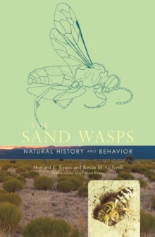 Image for The Sand Wasps: Natural History and Behavior