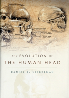Image for The Evolution of the Human Head
