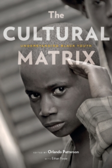 Image for The Cultural Matrix